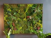 Картины из мха: стильная и оригинальная деталь вашего интерьера