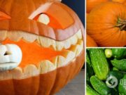 Тыквы в Украине подорожали в преддверии Хэллоуина: как изменились цены на овощи