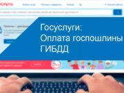 Легальная продажа красивых номеров откладывается на неопределенный срок