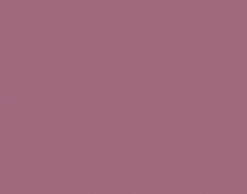 Новый год — 2022 в Москве и Санкт-Петербурге