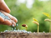 Удобрения: рекомендации по внесению