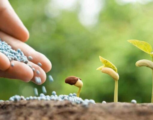 Удобрения: рекомендации по внесению