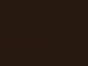 В Новосибирске пройдет концерт — посвящение жертвам катастрофы на шахте «Листвяжная»