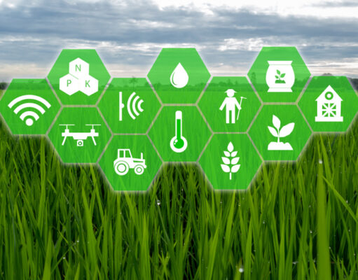 Intelligent Farming: современный ресурс о новейших технологиях в агробизнесе