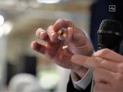 Проект Neuralink обвиняют в том, что он причиняет огромные страдания обезьянам