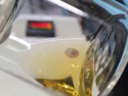 В Китае разработана система выращивания эмбрионов под контролем искусственного интеллекта