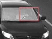 Раскрыто число выписанных штрафов за непристегнутый ремень безопасности