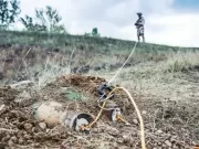 Саперные кошки: понятие, назначение