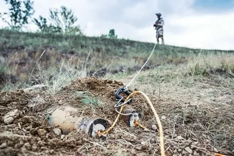 Саперные кошки: понятие, назначение