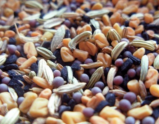 Покупаем семена: что учесть?