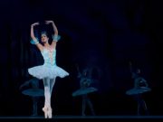 Объявлены победители Международной премии «Культура онлайн»