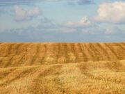 Без документов начнут забирать землю: что нужно оформить украинцам