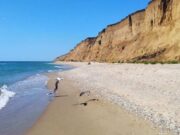 В Украине дом у моря продают всего за 5 тыс. долларов: как выглядит и где находится